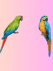 Quiz: Bạn mơ mộng, sáng tạo hay ấm áp, chân thành?