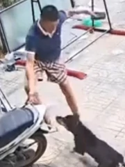 Thanh niên phản xạ cực nhanh khi gặp 'cậu vàng' khó tính