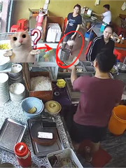 Chủ quán tung mì thể hiện tay nghề với hai nữ nhân viên... và cái kết