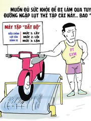 Ba mức tập gym 'bao phê' cho dân văn phòng