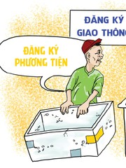 Phương tiện giao thông vừa nhẹ vừa rẻ, không sợ chết máy
