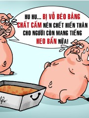 Ai đã ăn phải 10.000 tấn heo sử dụng chất cấm?