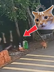 Ngã chổng vó xuống kênh vì ngồi chung võng