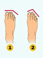 Quiz: Bạn hòa đồng hay là người giàu sáng tạo