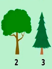 Quiz: Bạn có tư duy chín chắn và định hướng rõ ràng cho tương lai?