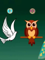 Quiz: Bạn cẩn thận, tỉ mỉ hay là người tràn đầy năng lượng