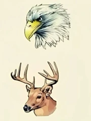 Quiz: Bạn kiên trì, bền bỉ hay là người tràn đầy ý tưởng