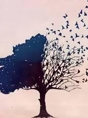 Quiz: Bạn là người chân thành và sống thực tế?