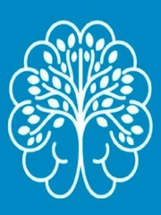 Quiz: Bạn sở hữu tư duy nhạy bén hay là người sống tình cảm