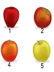 Quiz: Bạn thẳng thắn, chân thành hay sắc sảo, tự tin