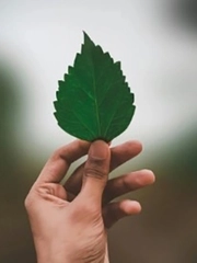 Quiz: Bạn sẽ gặp điều bất ngờ lớn nhất gì trong năm nay