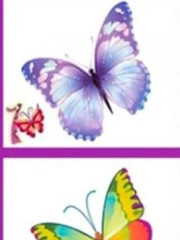 Quiz: Bạn hòa nhã, điềm tĩnh hay năng động, chăm chỉ