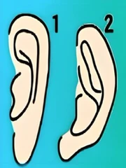 Quiz: Hình dạng tai tiết lộ gì về con người bạn?