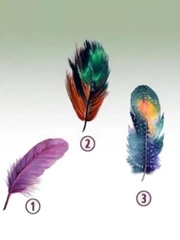 Quiz: Bạn là người quyết định nhanh chóng, dứt khoát?