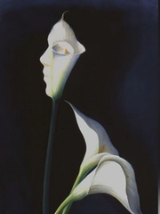 Quiz: Bạn sở hữu sức hút tự nhiên và nguồn năng lượng lan tỏa?