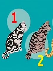 Quiz: Nguồn hạnh phúc lớn nhất của bạn là gì?