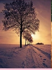 Quiz: Bước ngoặt bạn đang đối mặt trong cuộc đời là gì?