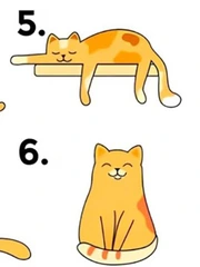 Quiz: Bạn có sở hữu tố chất lãnh đạo?