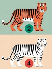 Quiz: Điểm mạnh nổi bật nhất của bạn là gì?