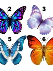 Quiz: Bạn coi trọng sự bình yên hay là người sáng tạo, tinh tế