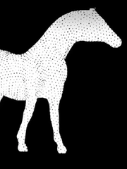 Quiz: Bạn có tâm hồn khá trẻ trung và vô tư?