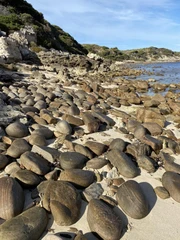 Mắt cú vọ mới thấy con chó đứng đâu