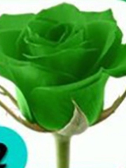 Quiz: Bạn là người dễ thích nghi với những thay đổi cuộc sống