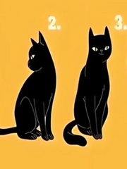 Quiz: Bạn tự tin, tháo vát hay là người nhạy bén?