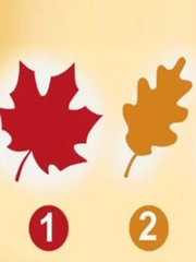 Quiz: Bạn là người thế nào trong tình yêu?