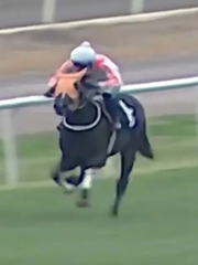 Phát hiện chấn động: Thịt ngựa đua trong bếp ăn từ thiện