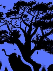 Quiz: Bạn phản ứng trước áp lực cuộc sống như thế nào?