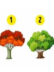 Quiz: Bạn quan tâm người khác một cách chân thành?