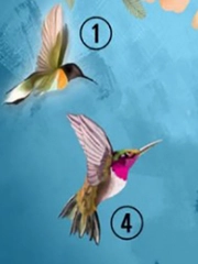 Quiz: Bạn cực kỳ quyết đoán hay là người sống kín đáo?