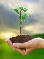 Quiz: Điều ước của bạn sắp trở thành hiện thực?