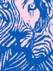 Quiz: Bạn là người hướng ngoại?