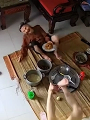 Khoảnh khắc cụ bà 95 tuổi có gì mà thu hút 2,5 triệu lượt xem