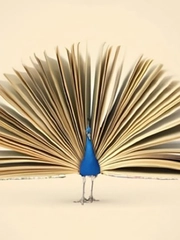 Quiz: Bạn luôn nghĩ đến hạnh phúc của người khác?