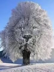 Ảo ảnh thị giác hé lộ mức độ tự tin của bạn trong tình yêu