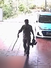 Cú sốc đầu đời của con gái khi bị gà đuổi và cái kết cả nhà có bữa ăn