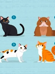 Quiz: Bạn đang mong muốn điều gì?