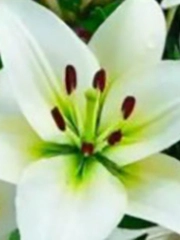 Quiz: Bạn bí ẩn, khó đoán hay là người nhạy cảm, tinh tế?