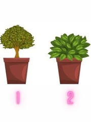 Quiz: Điểm mạnh lớn nhất của bạn nằm chỗ nào?