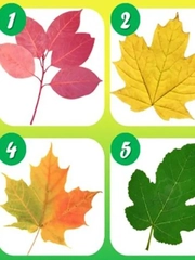 Quiz: Bạn điềm tĩnh, nhẹ nhàng hay hào phóng?