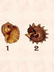 Quiz: Bạn sáng tạo hay là người tinh tế trong giao tiếp?