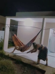 Bị vợ troll, chồng hú hồn chạy thẳng vào nhà vì tưởng ma