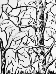 Quiz: Bạn quyết đoán, điềm tĩnh hay đầy tham vọng?