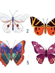 Quiz: Bạn có ý chí mạnh mẽ, luôn vượt khó khăn bằng sự kiên cường?