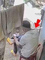 Ông chú mải mê xem điện thoại, rắn bò qua cổ cũng không hay biết