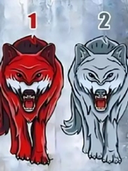 Quiz: Bạn cần không gian riêng tư khi nào?