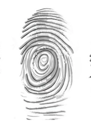 Quiz: Hoa tay ngón cái tiết lộ gì về con người bạn?